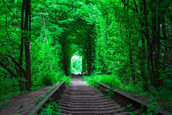 a railway in the spring forest tunnel of love