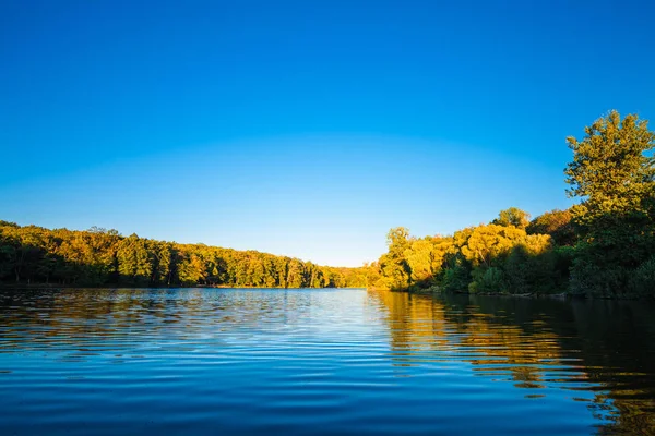 Forêt Pittoresque Rivière — Photo