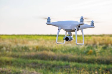 Dron kuad helikopteri yeşil mısır tarlasında