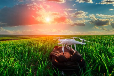 Dron kuad helikopteri yeşil mısır tarlasında