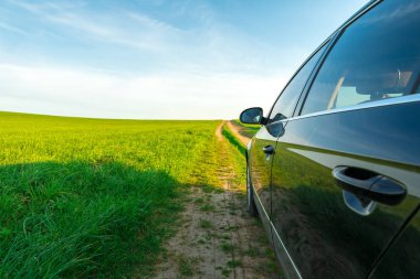 Ayçiçeği ve buğday sunli ile dolu bir alanda toprak yolda araba