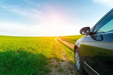 Ayçiçeği ve buğday sunli ile dolu bir alanda toprak yolda araba