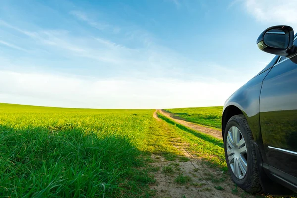 Coche en un camino de tierra en un campo de girasoles y trigo con sunli —  Fotos de Stock