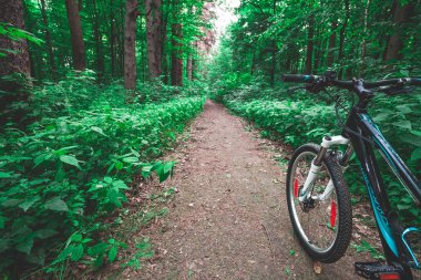 Dağ bisikleti hızlı bisiklet üzerinde azalan tepeden aşağı. Üzerinden görüntülemek 