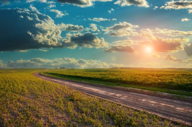 Yeşil tarla, mavi gökyüzü ve güneş.