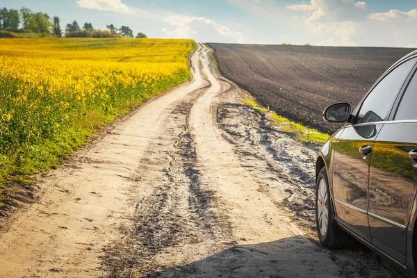 Car on a dirt road in a field of sunflowers and wheat with sunli — Stock Photo, Image