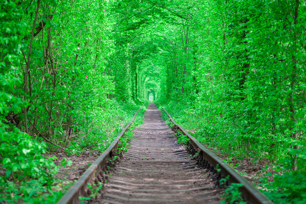 a railway in the spring forest tunnel of love