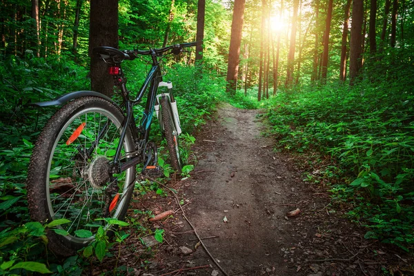 Mountainbiken Heuvelafwaarts Dalen Snel Fiets Zicht Van Motorrijders Ogen — Stockfoto