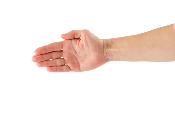 白い背景に分離された つの手 — ストック写真