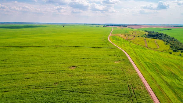 Зелене поле на заході сонця застрелено безпілотником — стокове фото