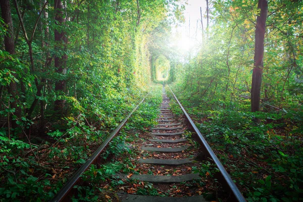 Een spoorweg in het voorjaar bos tunnel van de liefde — Stockfoto
