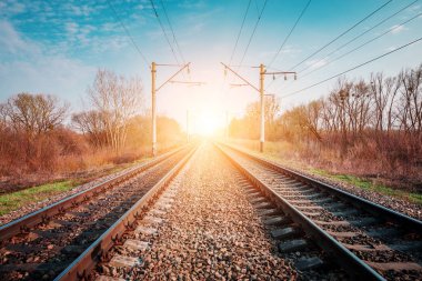 Taşra manzarasında tren rayları 