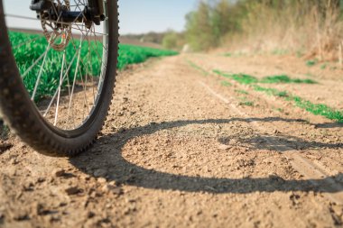 Bisiklet alan yolda