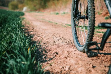 Bisiklet alan yolda