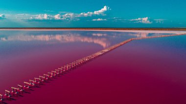 Pembe göl ve kumlu sahil manzaralı.