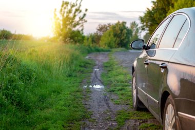Ayçiçeği ve buğday sunli ile dolu bir alanda toprak yolda araba