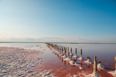 Pembe göl ve kumlu sahil manzaralı.