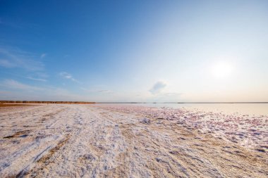 Pembe göl ve kumlu sahil manzaralı.