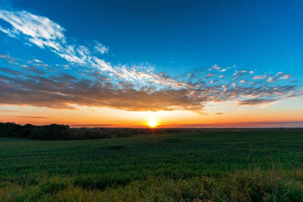 Zelené pole a krásný západ slunce — Stock fotografie
