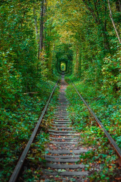 Любовь туннель осенью — стоковое фото