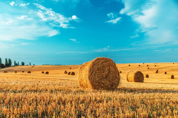 Weizenfeld nach der Ernte mit Strohballen bei Sonnenuntergang — Stockfoto