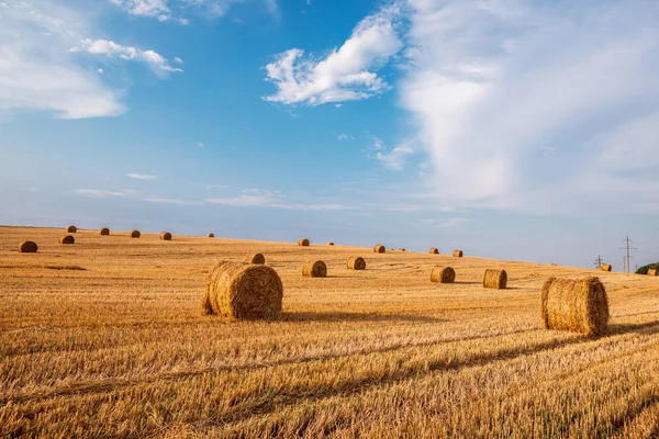 Campo de trigo após colheita com fardos de palha ao pôr do sol — Fotografia de Stock