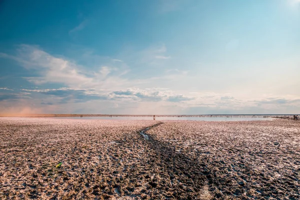 c ile mavi bir gökyüzü altında bir deniz koyu ile pembe göl ve kumlu plaj