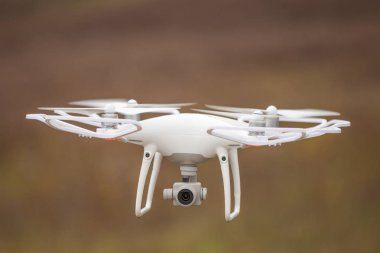 Dron kuad helikopteri yeşil mısır tarlasında