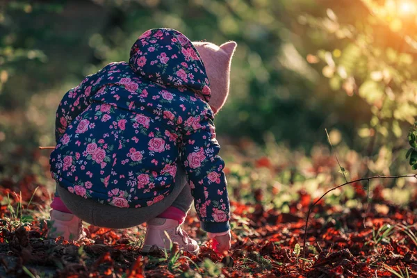 Holka, co si v podzimním parku hrála listí — Stock fotografie