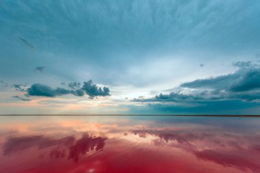 c ile mavi bir gökyüzü altında bir deniz koyu ile pembe göl ve kumlu plaj