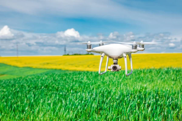 Copter drone quad sur champ de maïs vert — Photo