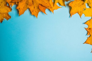 Portakal yapraklarından oluşan çerçeve yazı için yer açar. Bl üzerinde sonbahar kompozisyonu