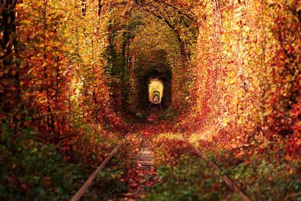 Eine Eisenbahn im herbstlichen Waldtunnel der Liebe — Stockfoto