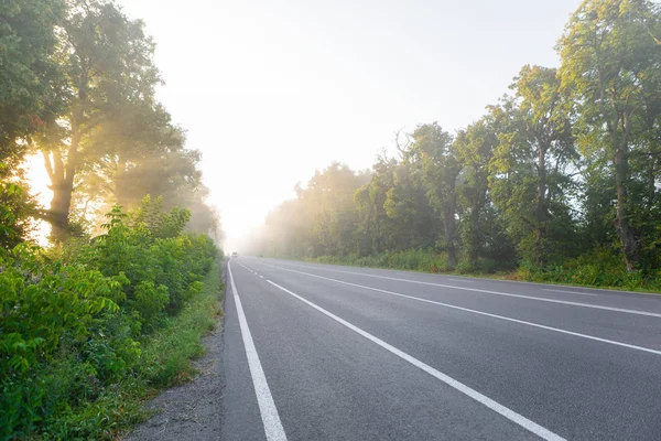 The asphalt road outside the city and thick fog above it in the — Stock Photo, Image
