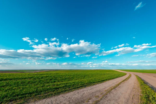 Green Field Beautiful Sunset — Stock Photo, Image