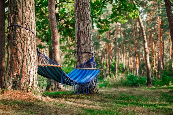 Hammock in the green forest. Hammocks on trees in the forest