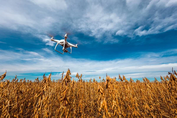 Dron dört helikopteri sarı alana.