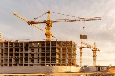 St. Petersburg civarındaki inşaat sahasında vinçler.