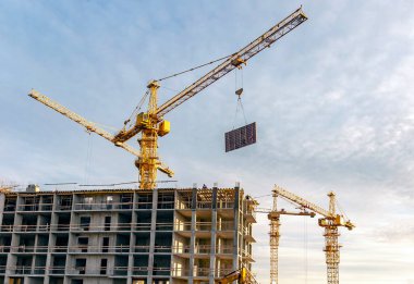 St. Petersburg civarındaki inşaat sahasında vinçler.