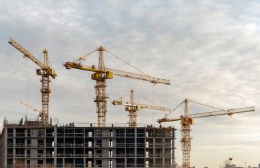 St. Petersburg civarındaki inşaat sahasında vinçler.