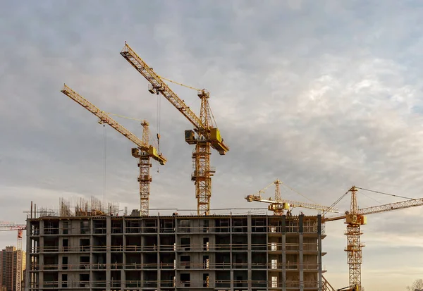 St. Petersburg civarındaki inşaat sahasında vinçler.