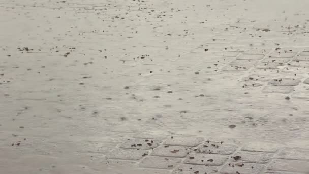 Puddles Gotas Lluvia Losas Pavimentación — Vídeos de Stock