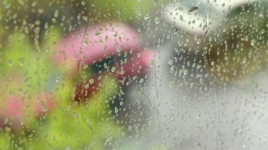 Pencere camından süzülen yağmur damlaları. Dışarıda, yağmur. Ağaç dalları rüzgarda sallanıyor. Bazen insanlar geçer..
