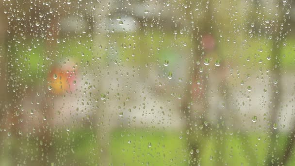 Des Gouttes Pluie Coulant Sur Une Vitre Dehors Pluie Les — Video