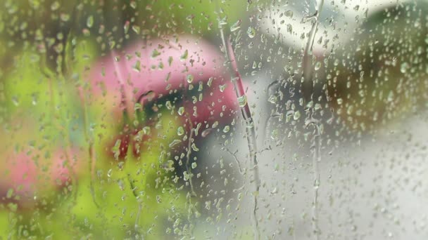 Regendruppels Die Door Een Ruit Lopen Buiten Regen Boom Takken — Stockvideo