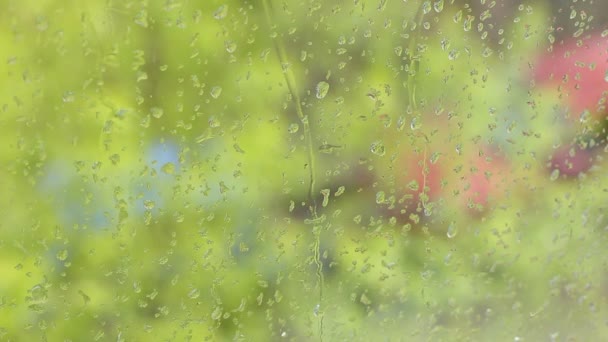 Капли Дождя Стекают Оконному Стеклу Снаружи Дождь Ветви Деревьев Колеблются — стоковое видео