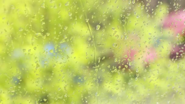 Regentropfen Laufen Eine Fensterscheibe Hinunter Draußen Der Regen Baumzweige Wiegen — Stockvideo