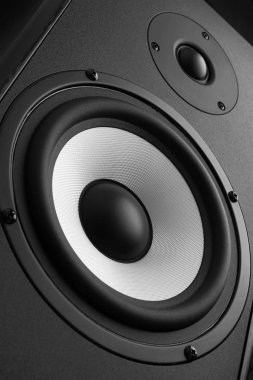 Ahşap hoparlör portre