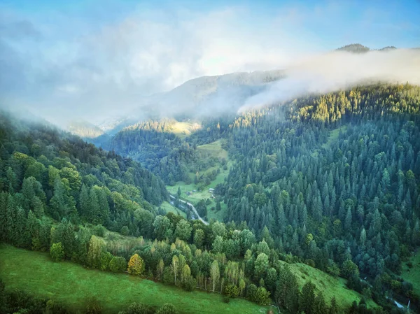 Bergen Met Bossen Karpaten Oekraïne Europa — Stockfoto