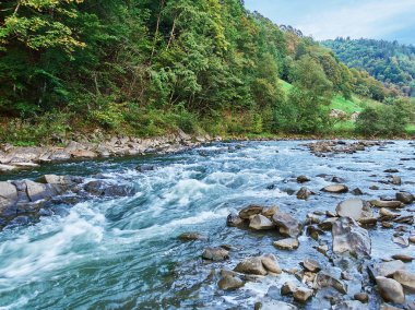 Orman ve nehir ile Dağları. Karpat Dağları, Ukrayna, Europe